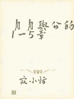 月月与公的激情1一5章