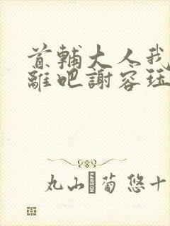 首辅大人我们和离吧谢容珏