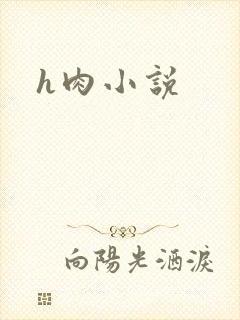 h肉小说