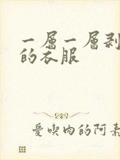 一层一层剥开我的衣服