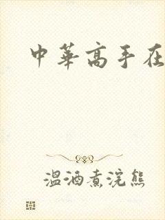 中华高手在异世