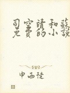 司空靖和苏月汐免费的小说笔趣阁