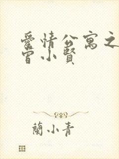 爱情公寓之极品曾小贤