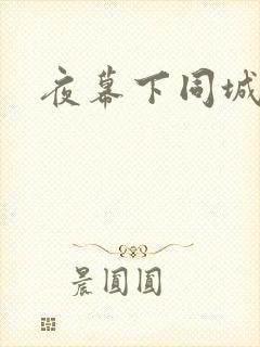 夜幕下同城网