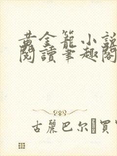 黄金笼小说免费阅读笔趣阁无弹窗