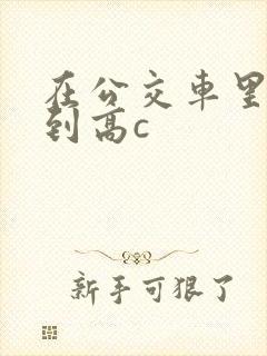 在公交车里c弄到高c