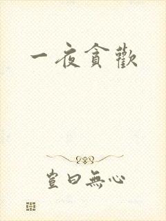 一夜贪欢