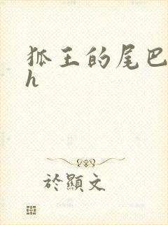 狐王的尾巴高ah