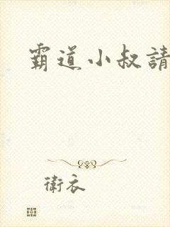 霸道小叔请轻撩