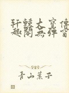 轩辕大宝传奇笔趣阁无弹窗