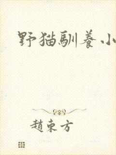 野猫驯养小说