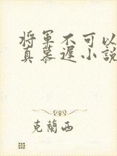 将军不可以魏云真慕迟小说笔趣阁