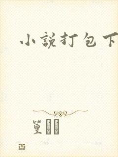 小说打包下载