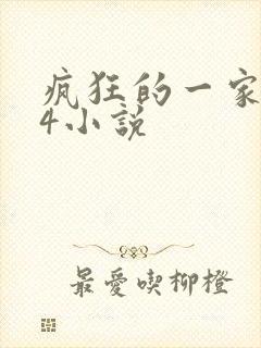 疯狂的一家ps4小说