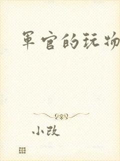 军官的玩物