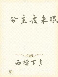 公主夜未眠