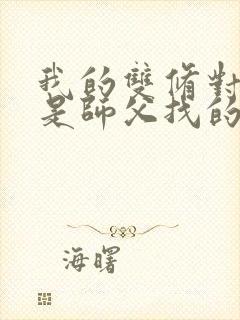 我的双修对象都是师父找的小说