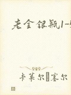 老金银瓶1-5