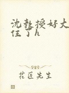 沈教授好大含不住了h