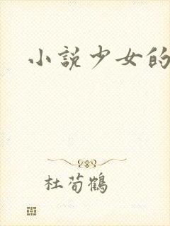 小说少女的心