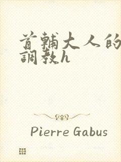 首辅大人的花式调教h