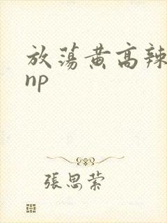 放荡黄高辣h文np