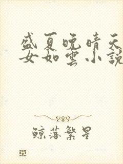 盛夏晚晴天之美女如云小说