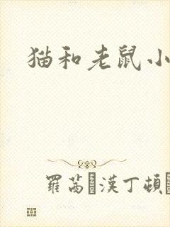 猫和老鼠小说