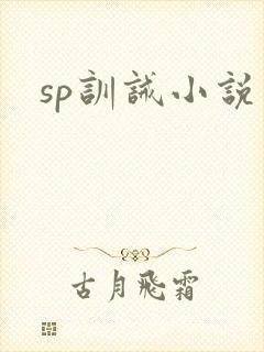 sp训诫小说