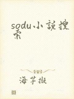 sodu小说搜索