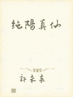 纯阳真仙
