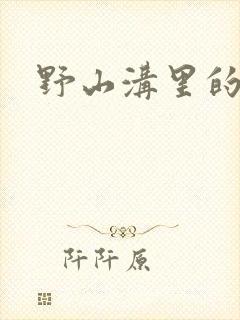 野山沟里的村庄