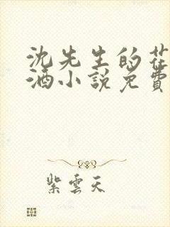 沈先生的花式调酒小说免费阅读