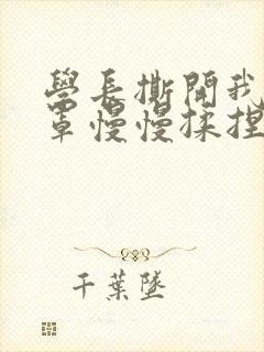 学长撕开我的乳罩慢慢揉捏小说