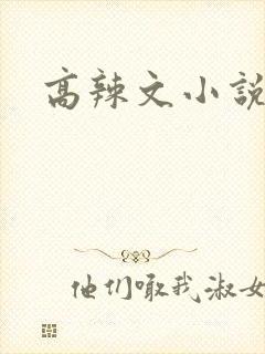 高辣文小说