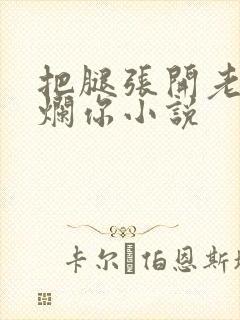 把腿张开老子臊烂你小说