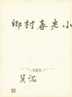 乡村春光小说