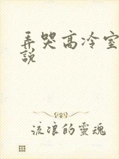 弄哭高冷室友小说