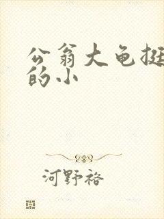 公翁大龟挺进我的小