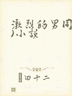 激烈的男同(h)小说