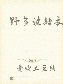 野多波结衣