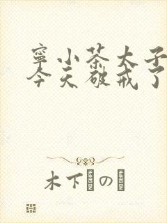 宁小茶太子殿下今天破戒了吗免费阅读