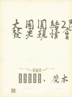 大团圆结2闪闪发光亲情会