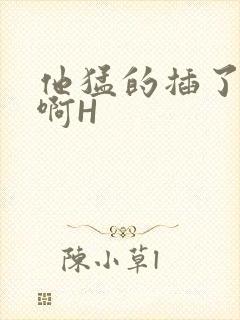 他猛的插了进去啊H