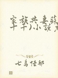 家族共妻苏苏(十千)小说免费