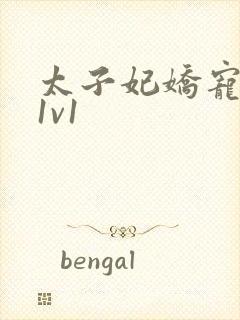 太子妃娇宠日常1v1