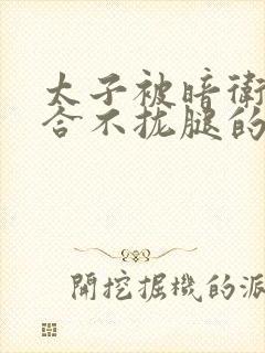 太子被暗卫c到合不拢腿的后果