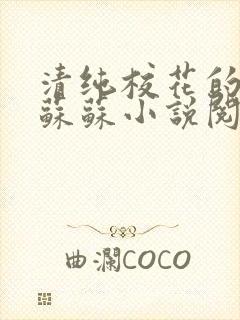 清纯校花的日常苏苏小说阅读全文