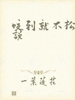 咬到就不松口小说