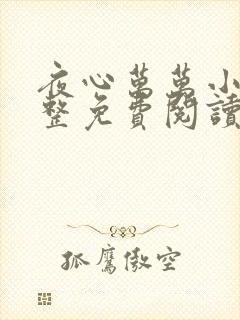 夜心万万小说完整免费阅读全文
